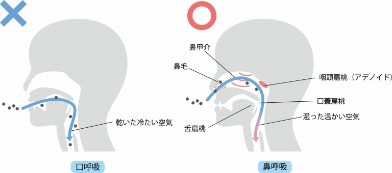 口呼吸による悪影響