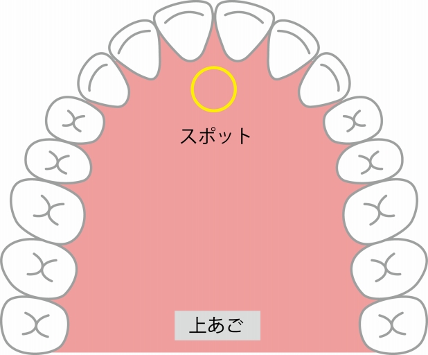 正しい舌の位置とは？